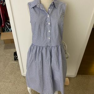 Blue striped button up dress